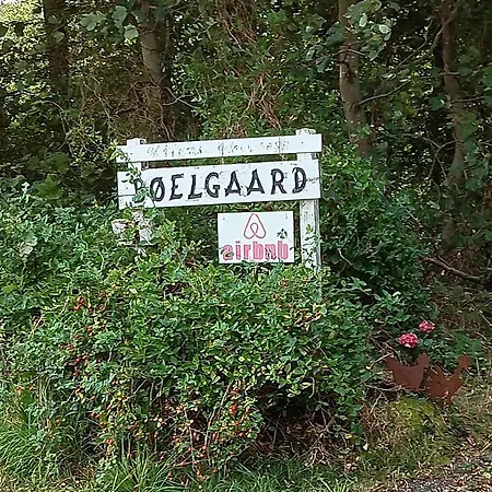 カントリーハウス Boelgaarden Gørding